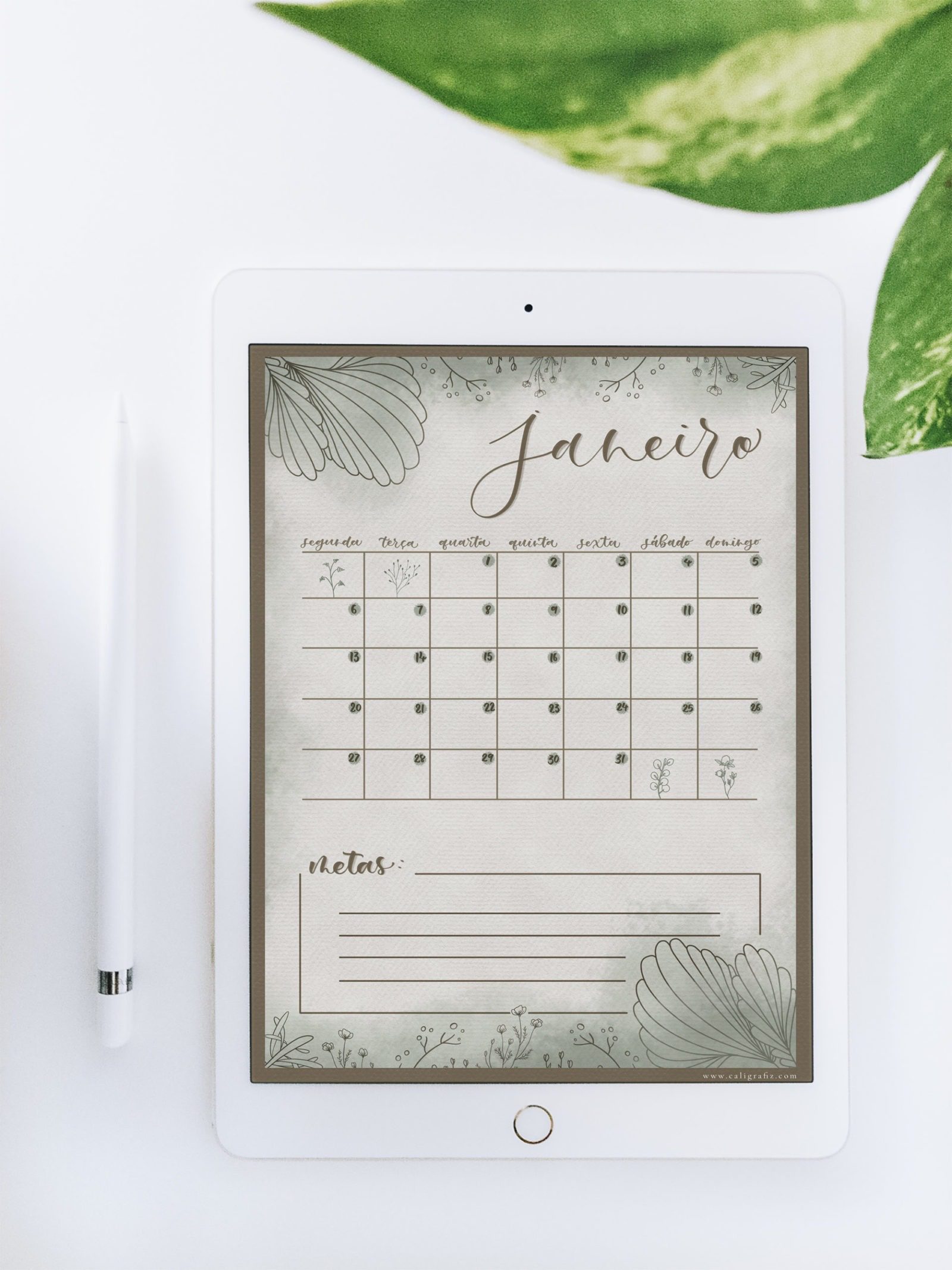 Planner do mês de janeiro com tema natureza nas cores verde e marrom e espaço para anotações de metas referente ao mês.