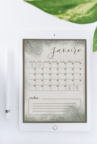 Naturale | Planner de Janeiro