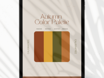 Autumn | Color Palette